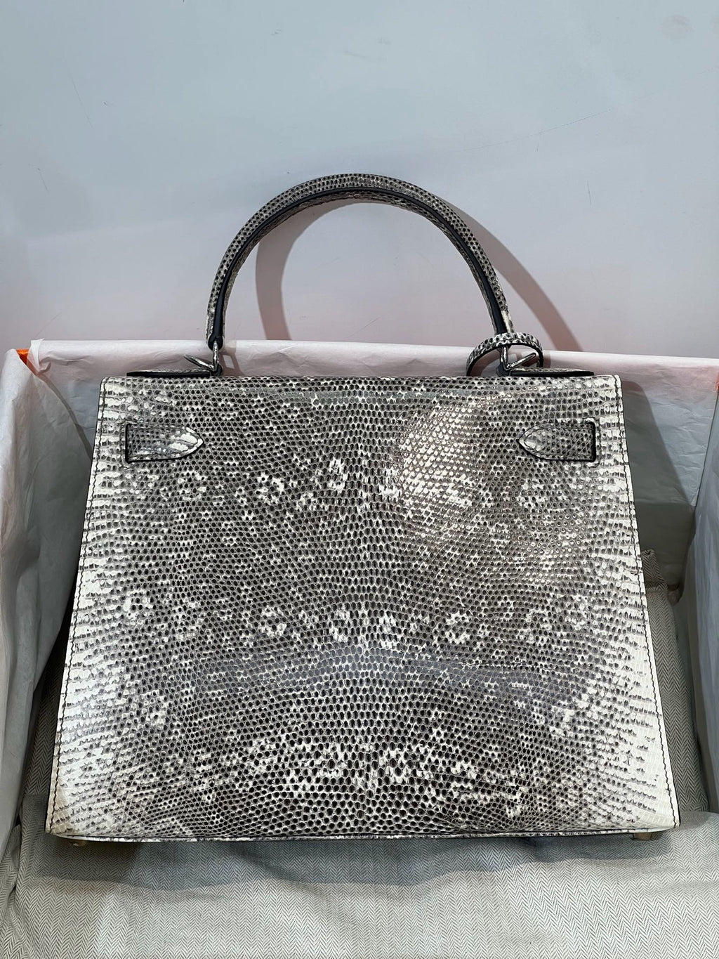 K28-Ombré Lizard Leather Top-Handle Handbag – Exotic Natural Pattern Structured Crossbody Bag