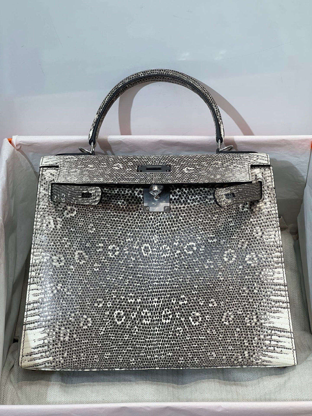 K28-Ombré Lizard Leather Top-Handle Handbag – Exotic Natural Pattern Structured Crossbody Bag